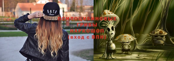 крисы Володарск