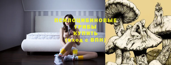 крисы Володарск