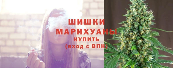 ГАЛЛЮЦИНОГЕННЫЕ ГРИБЫ Волосово