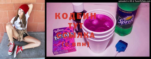индика Волоколамск