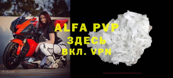 индика Волоколамск