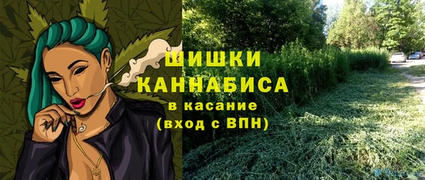 индика Волоколамск