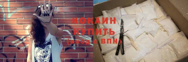 индика Волоколамск