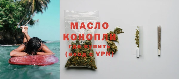 индика Волоколамск