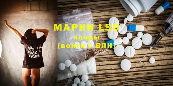 индика Волоколамск