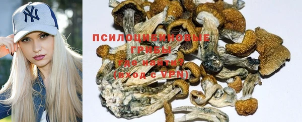 крисы Володарск
