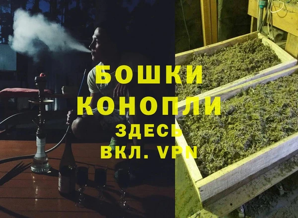 ГАЛЛЮЦИНОГЕННЫЕ ГРИБЫ Волосово