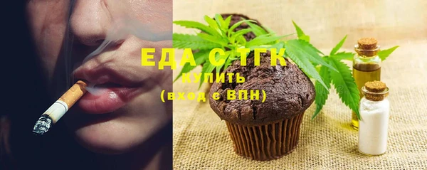 индика Волоколамск