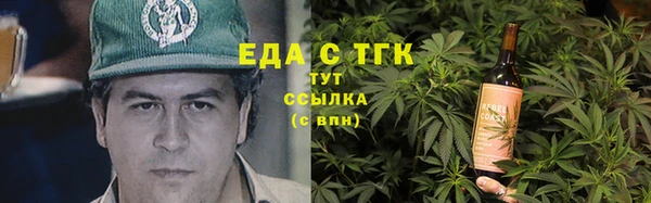 индика Волоколамск