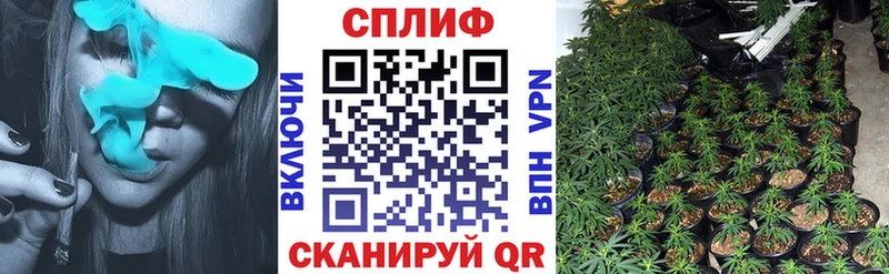 Купить  Выборг  Бошки марихуана конопля 